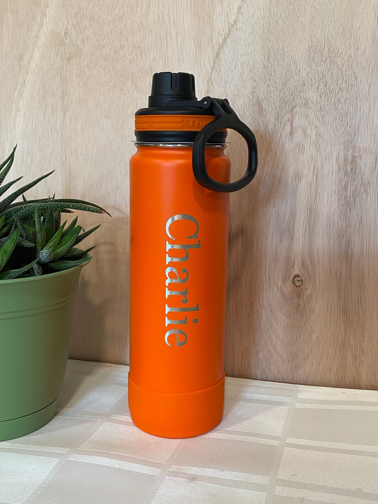 24 oz Spout/Twist Cap ThermoFlask Water Bottle