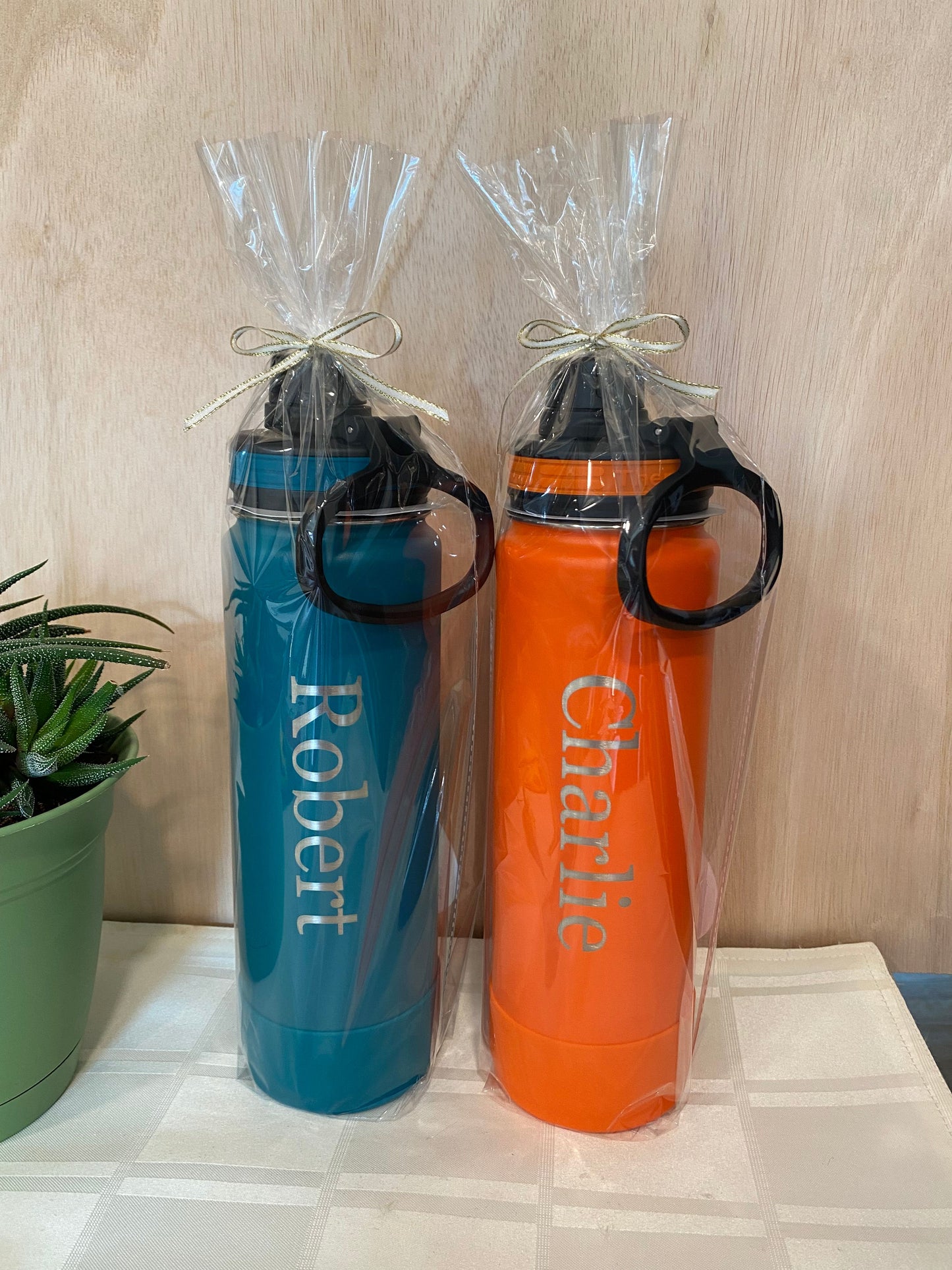 24 oz Spout/Twist Cap ThermoFlask Water Bottle